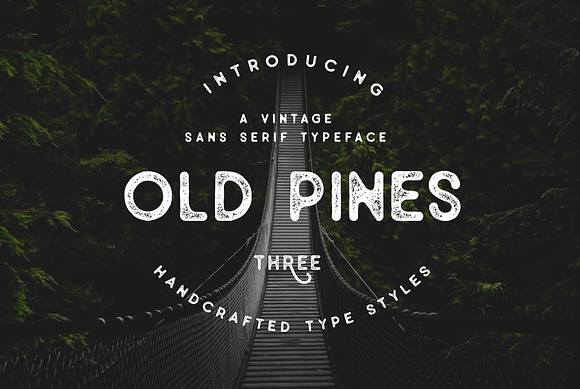 Old Pines Vintage Type - 20% OFF in Stamp Fonts - product preview 1