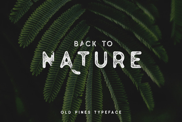 Old Pines Vintage Type - 20% OFF in Stamp Fonts - product preview 7