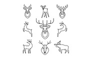 Deers, moose, antlers and horns