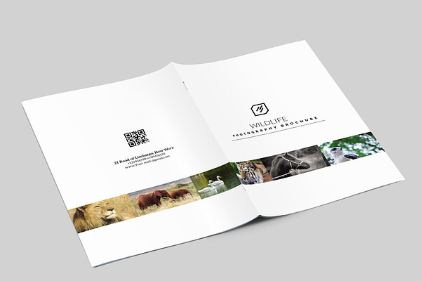 Wildlife Photography Brochure-V541