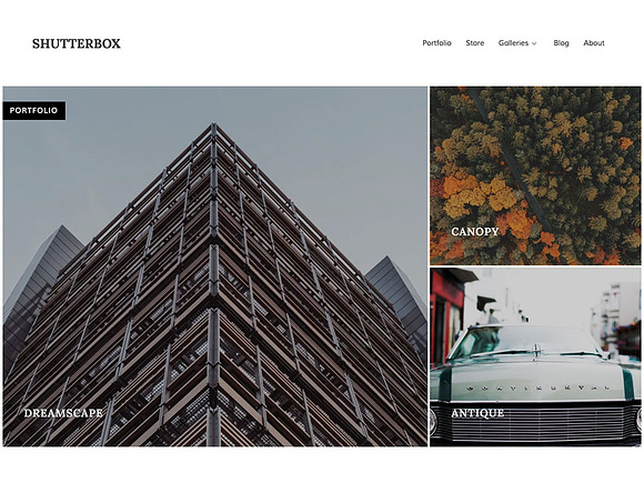 Shutterbox in WordPress Portfolio Themes - product preview 1