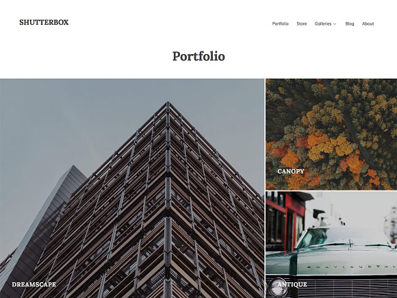 Shutterbox in WordPress Portfolio Themes - product preview 3