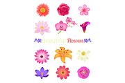 Flower Color Set Design
