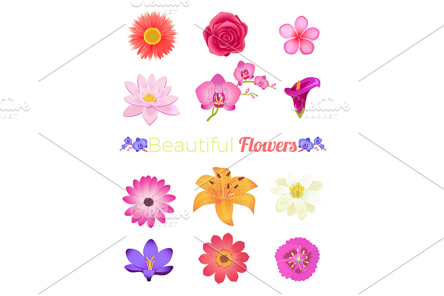 Flower Color Set Design in Illustrations - product preview 8