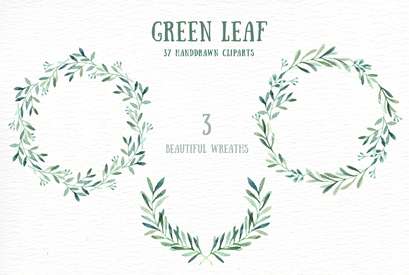 Green Leaf Watercolor clipart in Illustrations - product preview 1