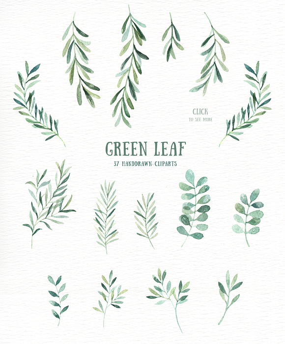 Green Leaf Watercolor clipart in Illustrations - product preview 2