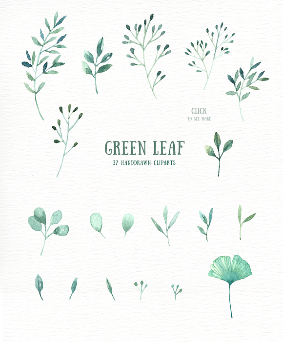 Green Leaf Watercolor clipart in Illustrations - product preview 3