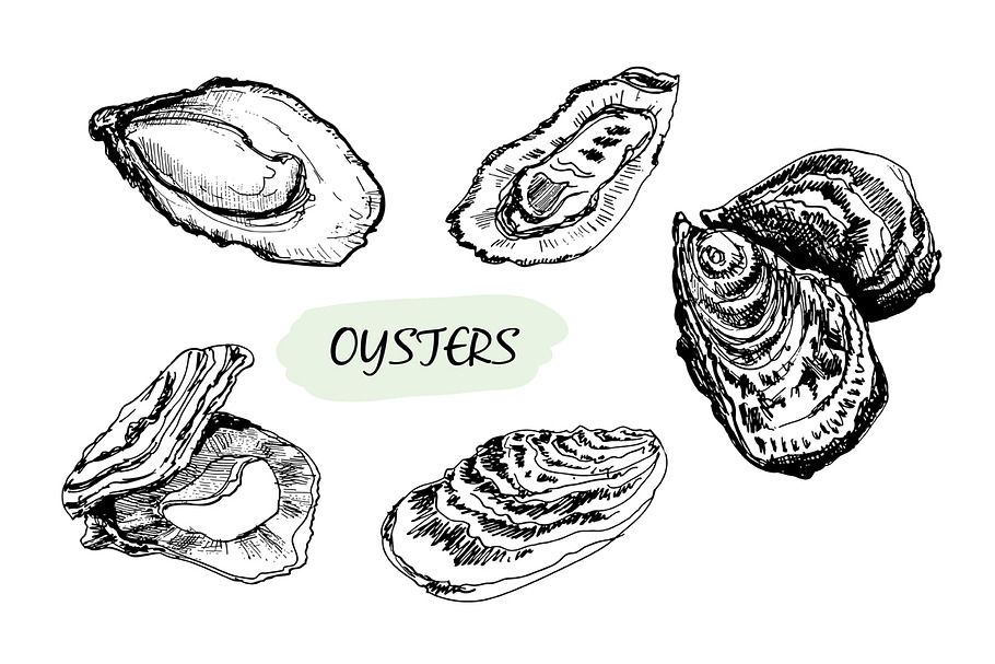 Oysters. Set of vector in Illustrations - product preview 8