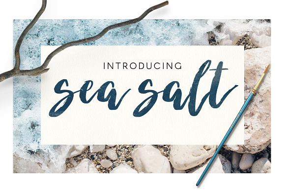 "Sea Salt" Brush Script in Script Fonts - product preview 5