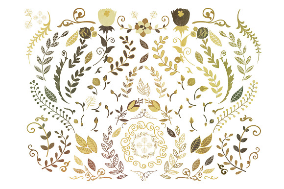 Floral & Decorative Vector Shapes in Illustrations - product preview 1