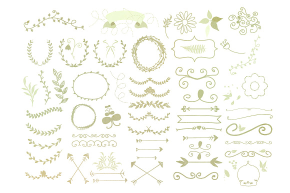Floral & Decorative Vector Shapes in Illustrations - product preview 2
