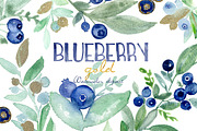 Blueberry gold. Watercolor clipart.