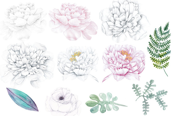 Watercolor white Peonies clipart in Illustrations - product preview 1