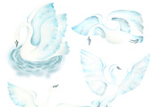 Watercolor swan clipart