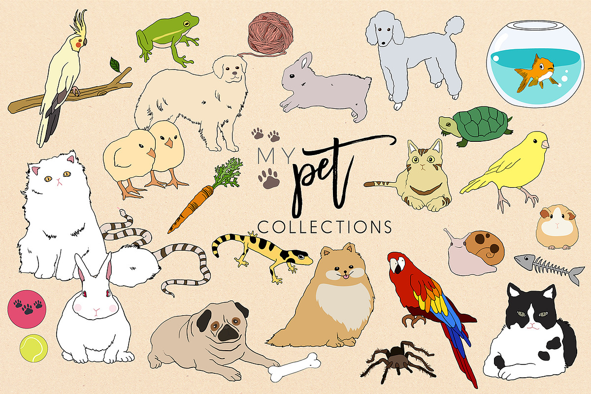 My Pet Collection ~vector & PNG~ in Illustrations - product preview 8