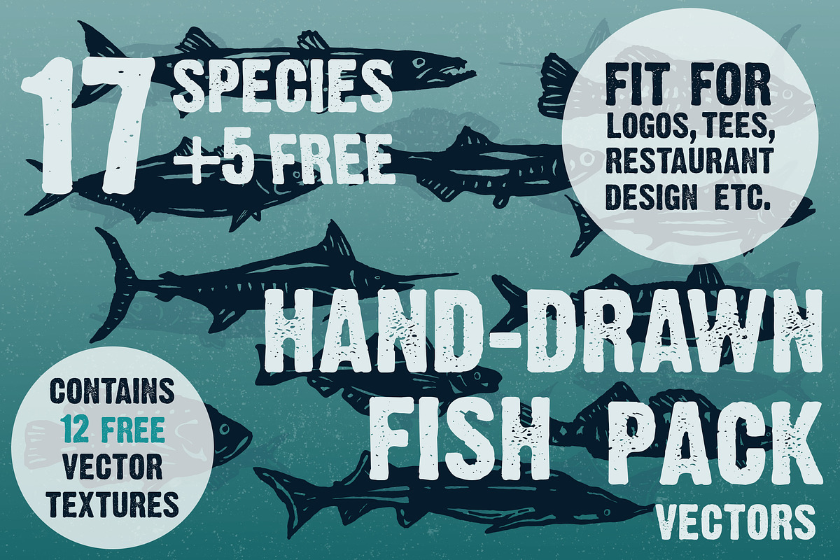 Hand-drawn fish vectors in Illustrations - product preview 8