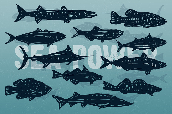 Hand-drawn fish vectors in Illustrations - product preview 3