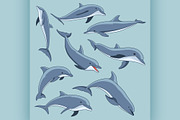Vector hand drawn set of dolphins