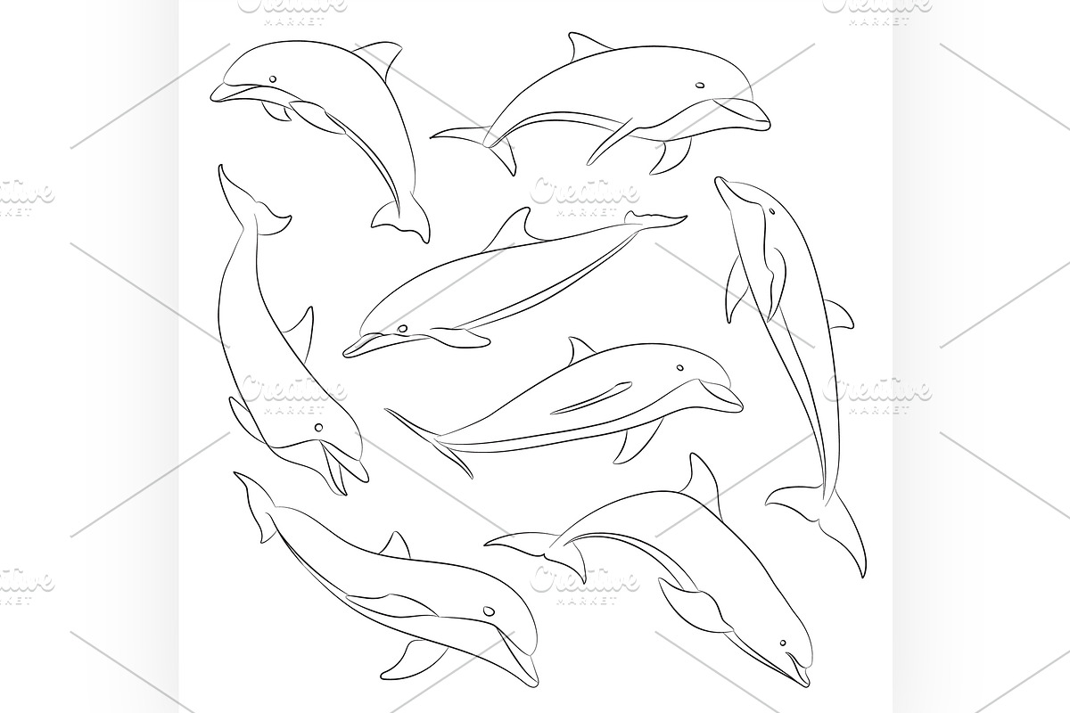 Vector hand drawn set of dolphins in Illustrations - product preview 8