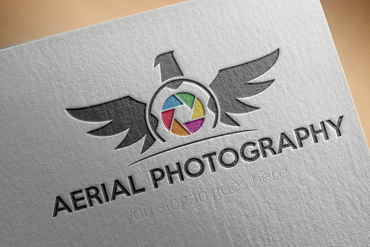 Aerial Photography Logo in Logo Templates - product preview 8