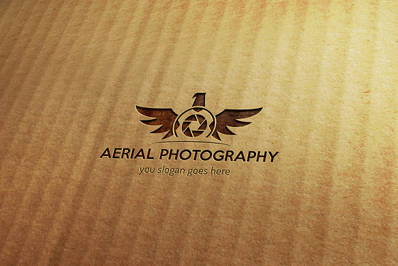 Aerial Photography Logo in Logo Templates - product preview 1