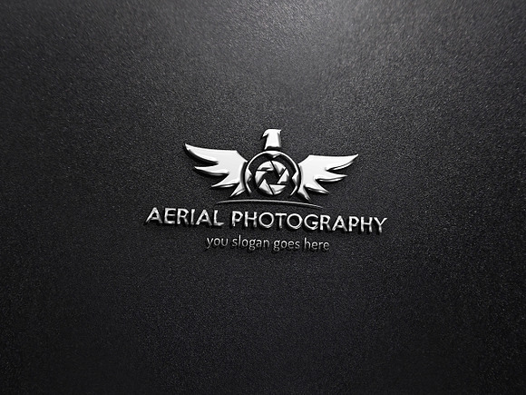 Aerial Photography Logo in Logo Templates - product preview 2