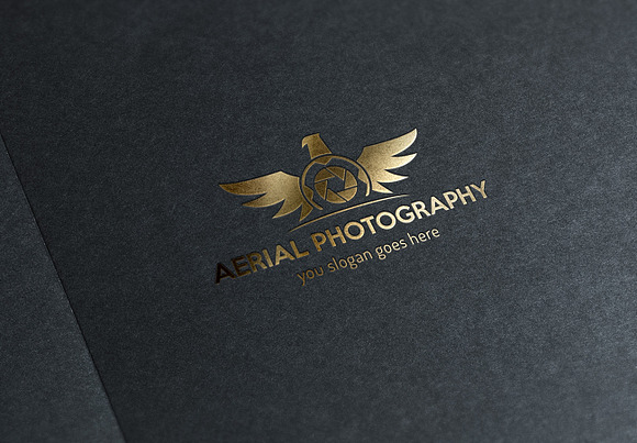 Aerial Photography Logo in Logo Templates - product preview 5