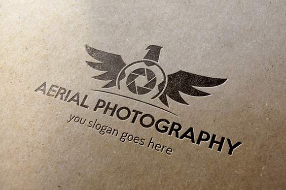 Aerial Photography Logo in Logo Templates - product preview 6
