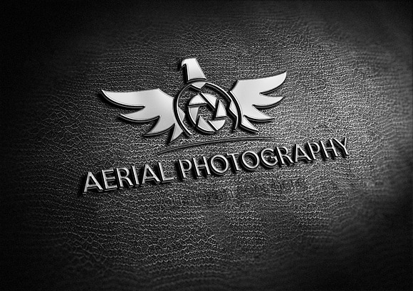 Aerial Photography Logo in Logo Templates - product preview 7