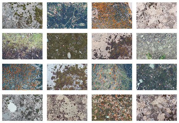16 Moss Photo Textures in Textures - product preview 1
