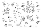 Hand drawn floral design elements