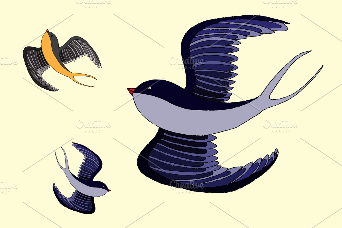 Swallows. Vector in Illustrations - product preview 8