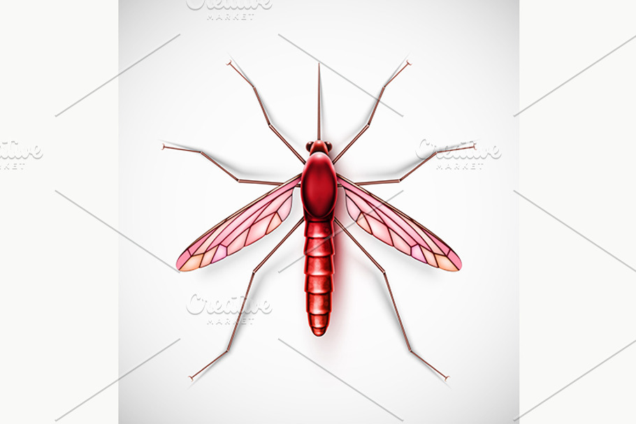 Isolated Mosquito in Illustrations - product preview 8