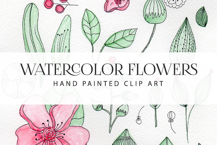 Watercolor Flower Clip Art