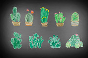 Watercolor painting cactus