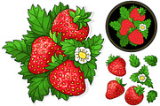 Set ripe juicy strawberries
