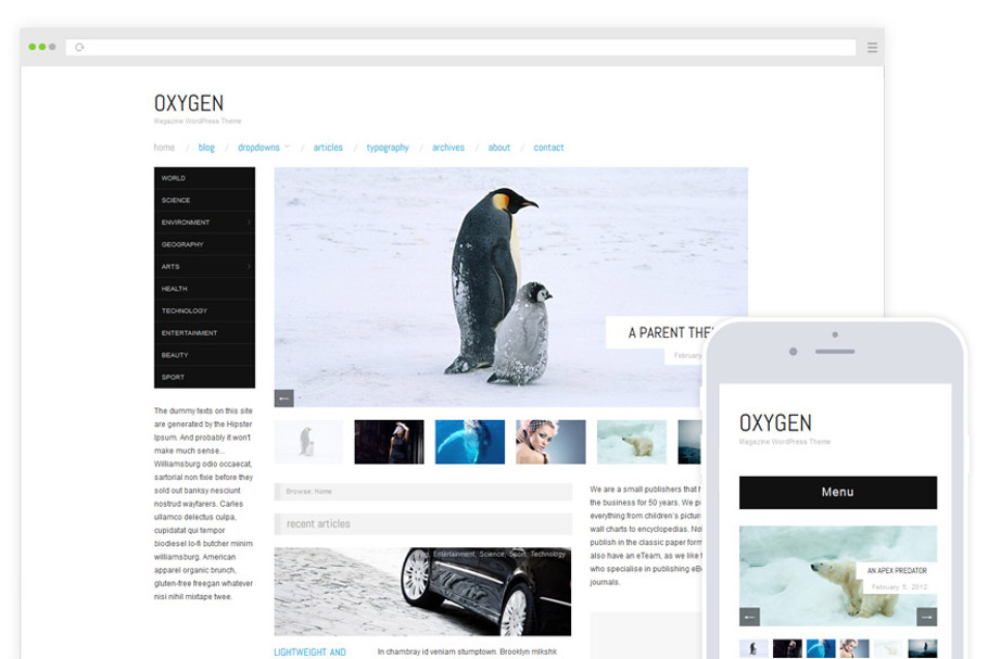 Oxygen / Minimal Blog Magazine Theme in WordPress Minimal Themes - product preview 8