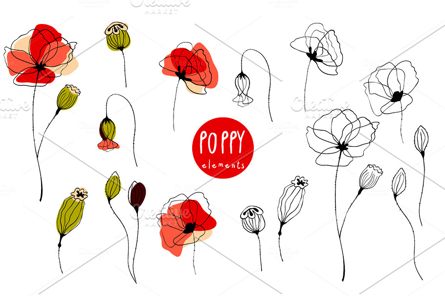 Poppy. Elements & Pattern Swatches