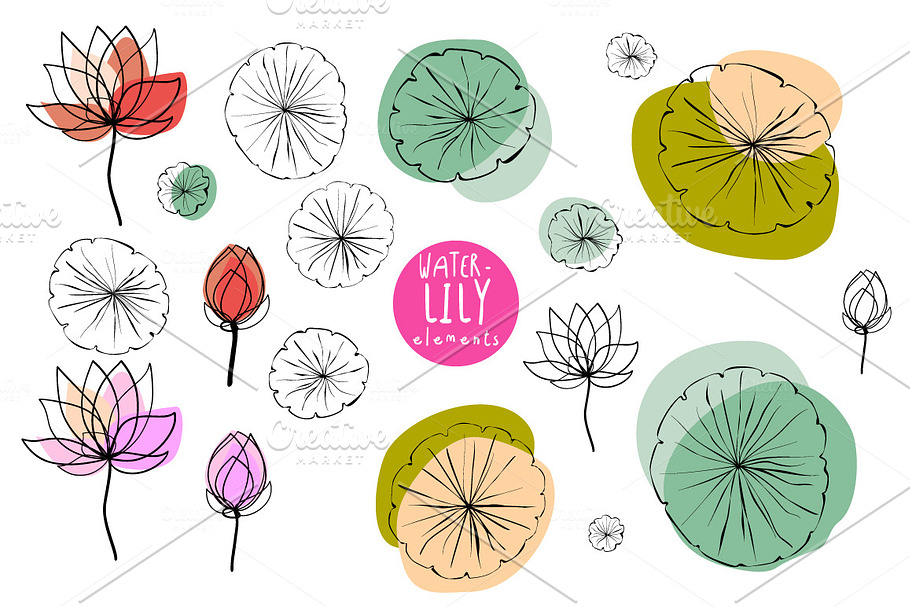 Water-lily Elements and Patterns in Patterns - product preview 8