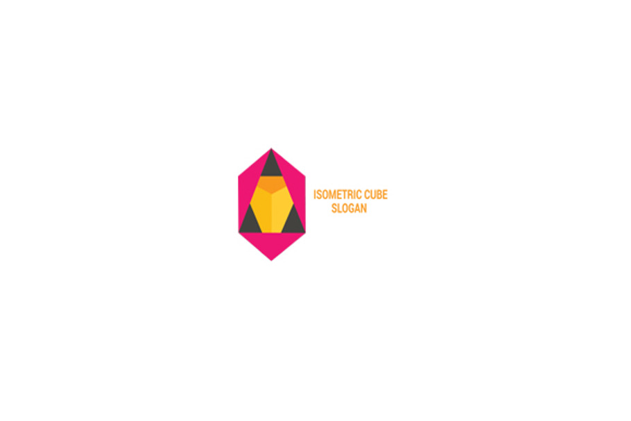 Isometric Cube Logo
