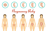 Changes in a woman in pregnancy