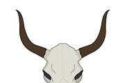 Cow skull. Vector
