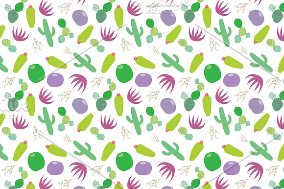 Cactus Clip Art and Patterns in Illustrations - product preview 4