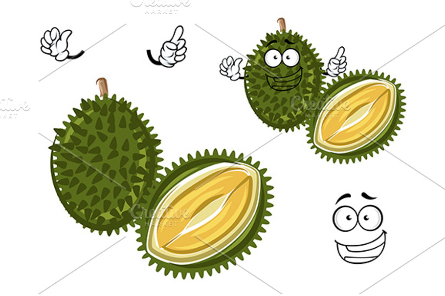 Cartoon durian fruit in Graphics - product preview 8