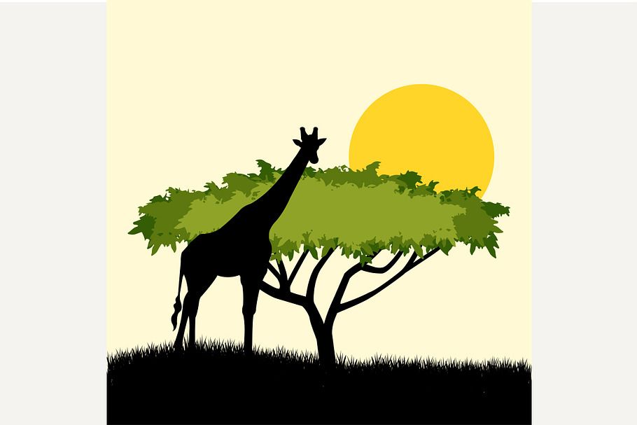 Acacia tree and giraffe in Illustrations - product preview 8