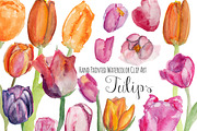 Tulips watercolor clip art