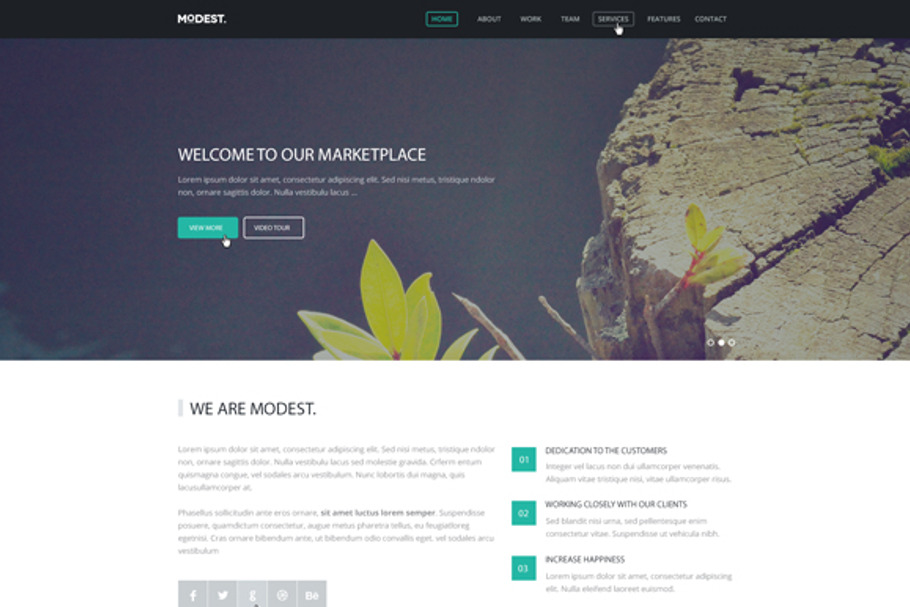 Modest – Responsive Landing Page