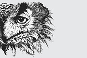 Monochrome owl ink sketch vector