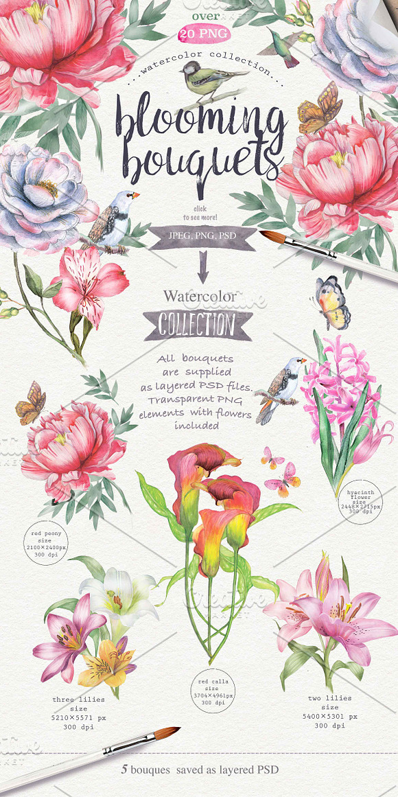   Wildflowers pack 75 PNG in Illustrations - product preview 1