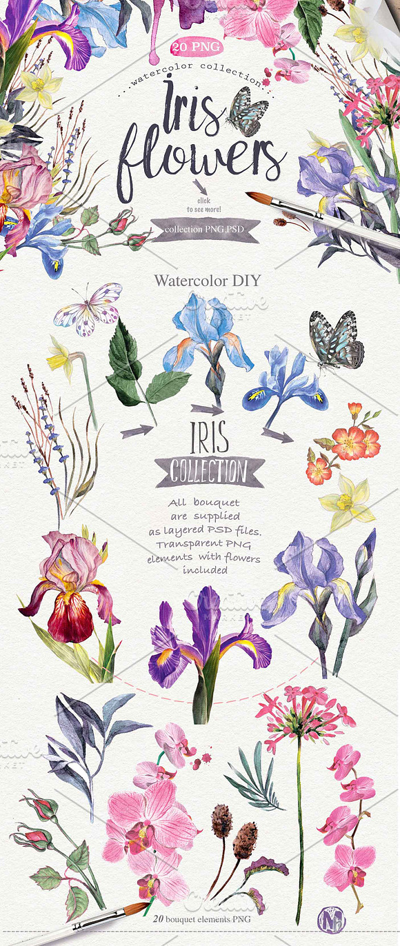   Wildflowers pack 75 PNG in Illustrations - product preview 2